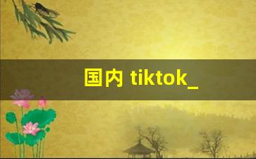 国内 tiktok_国外注册tiktok到国内能用吗